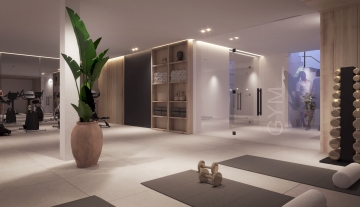 Resa Estates plot 1can Furnet renders modern villa Ibiza 1 gym.jpg